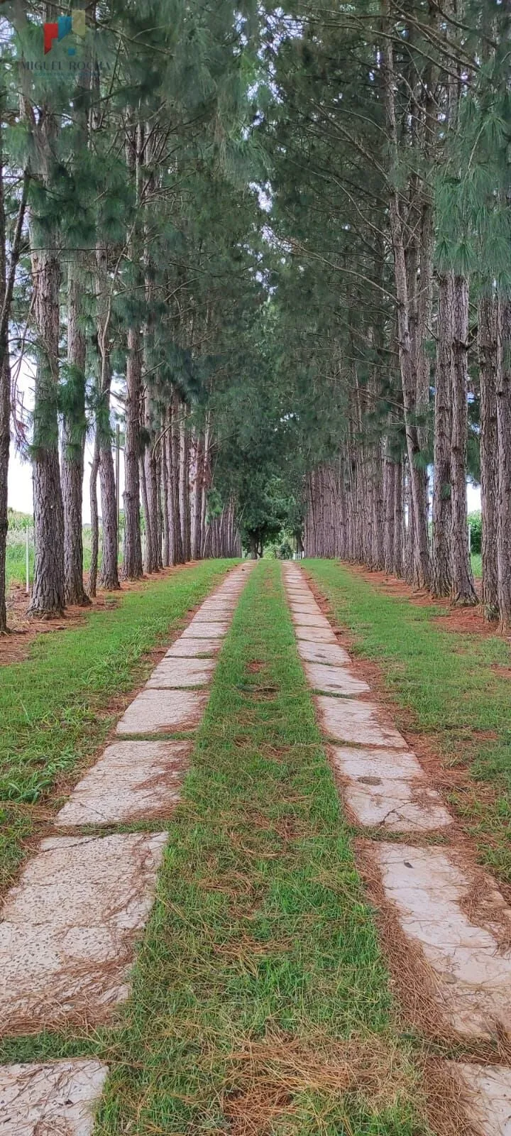 Imagem Sítio região Itapetininga SP
