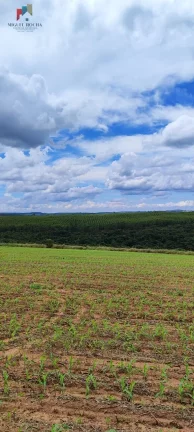 Imagem Fazenda a venda São Miguel Arcanjo SP