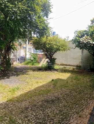 Imagem Casa à venda com 3 quartos no Cambuí em Campinas, São Paulo.