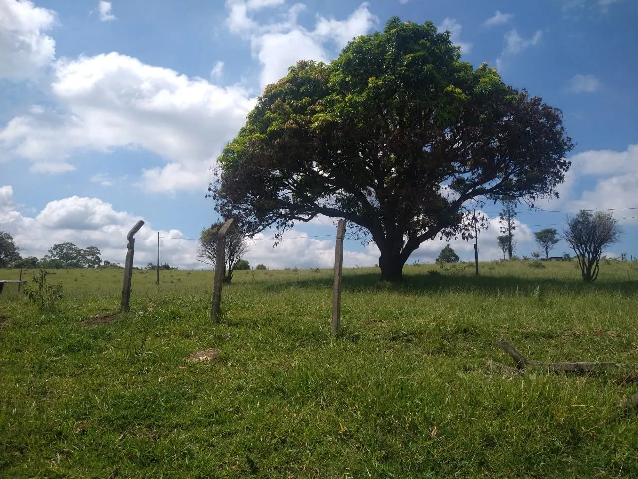 Imagem Vende-se esta área com 89 mil metros em Brigadeiro Tobias