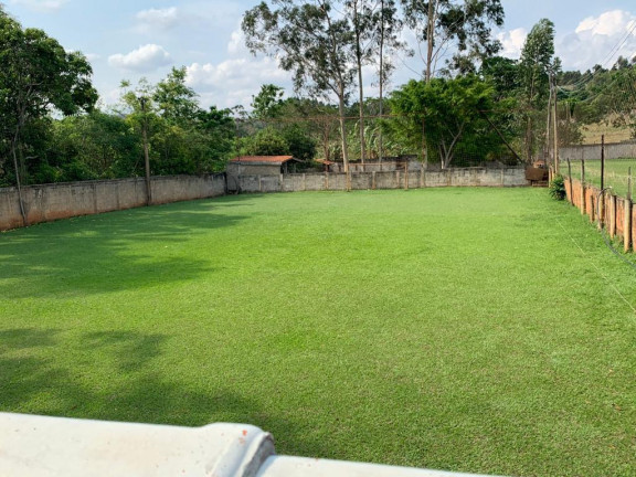 Chácara com 4 Quartos à Venda, 5.887 m² em Área Rural de Goiânia - Goiânia