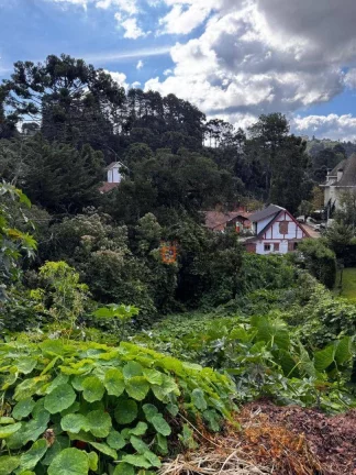 Imagem Terreno à venda, 850 m² por R$ 800.000 - Alto Do Capivari - Campos do Jordão/SP