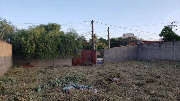 Imagem Terreno Padrão
