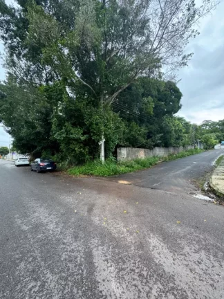 Imagem TERRENO RESIDENCIAL em MANAUS - AM, FLORES