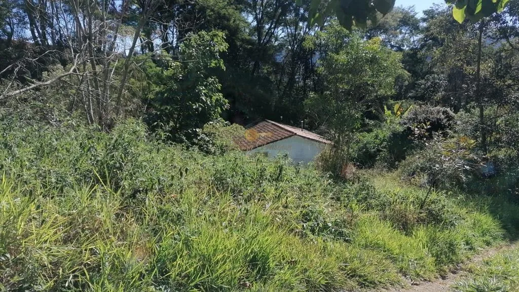 Imagem Sítio para Venda em Petrópolis / RJ no bairro Itaipava