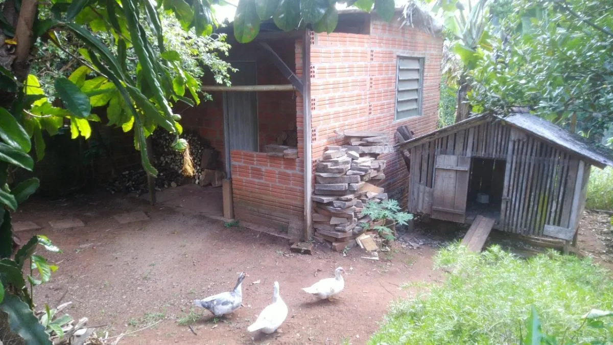 Imagem Terreno para Venda em São Leopoldo / RS no bairro Campestre