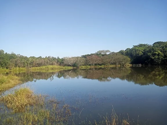 Imagem Excelente Área para Investimento - 29 Hectares, Pimenta, Viamão/RS