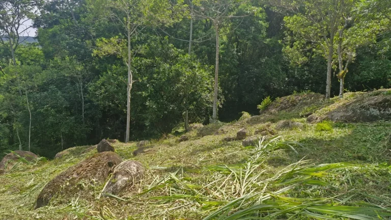 Imagem Oportunidade Única: Terreno à Venda no Bairro Macacu em Garopaba/SC! 1.639,00 m² de área. Confira já!