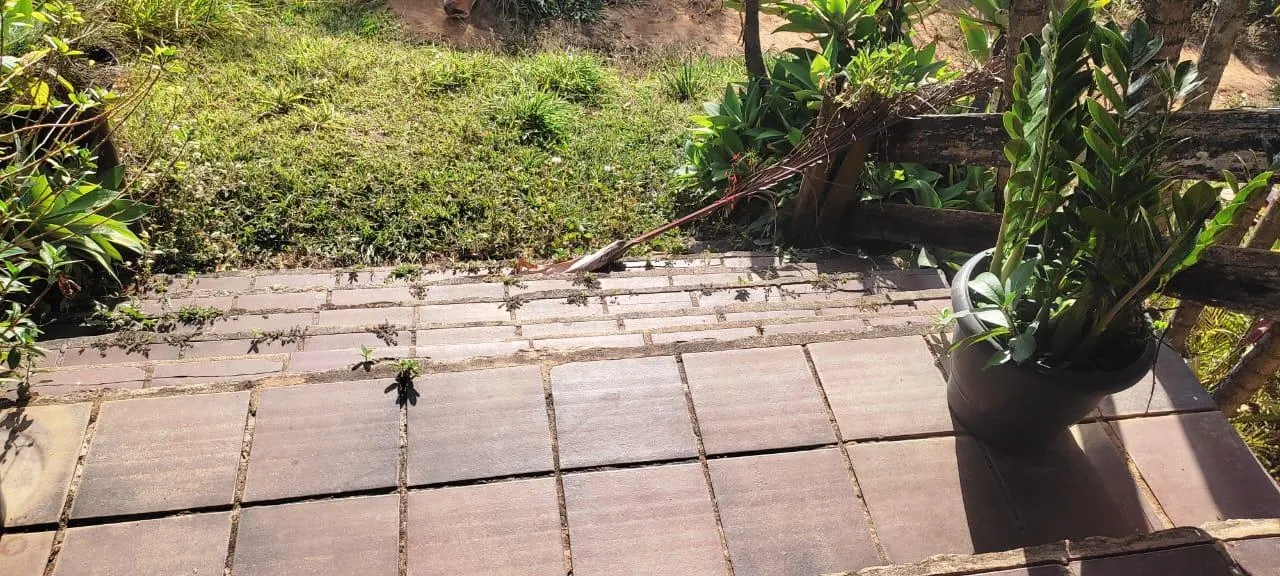 Imagem Vendo uma excelente fazenda na região de Itaúna/MG 212 hectares de terra