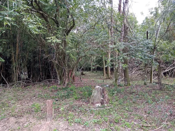 Imagem Lindos Terrenos residenciais, Águas Claras / Viamão