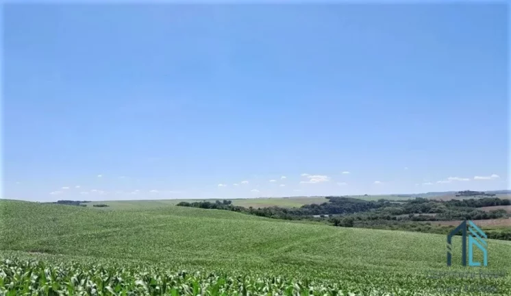 Imagem Sítio com 36 Alqueires, na Barranca do Rio Ivaí, localizado a 8 km da rodovia que liga engenheiro Beltrão a Maringá PR