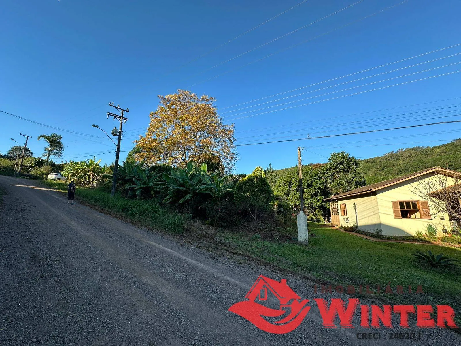 Imagem 10 hectares com Casa na Linha Nova!