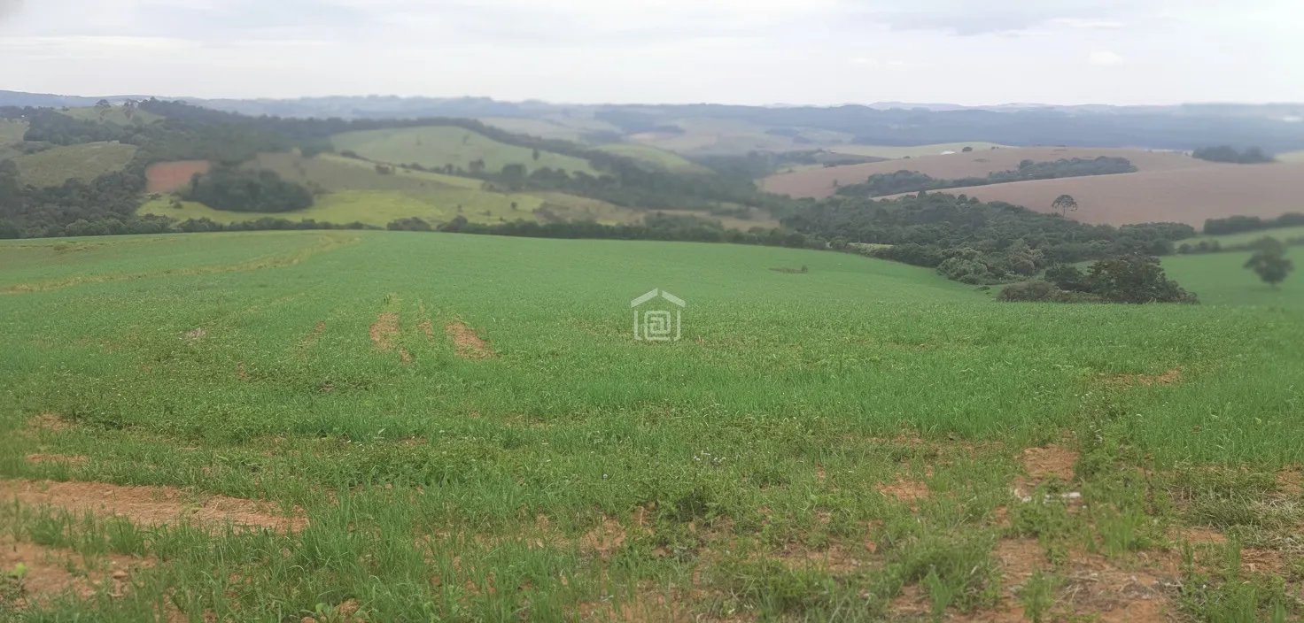 Imagem Fazenda 338,8 ha à venda em Itacolomi, Ipuiúna