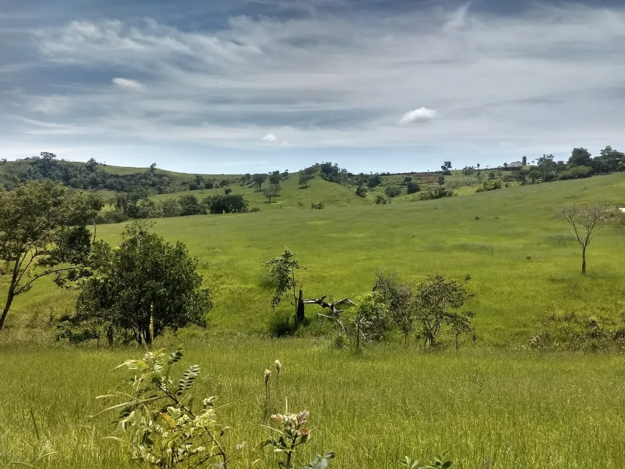 Imagem Chácara à venda 400000M², Barreiro, Taubaté - SP