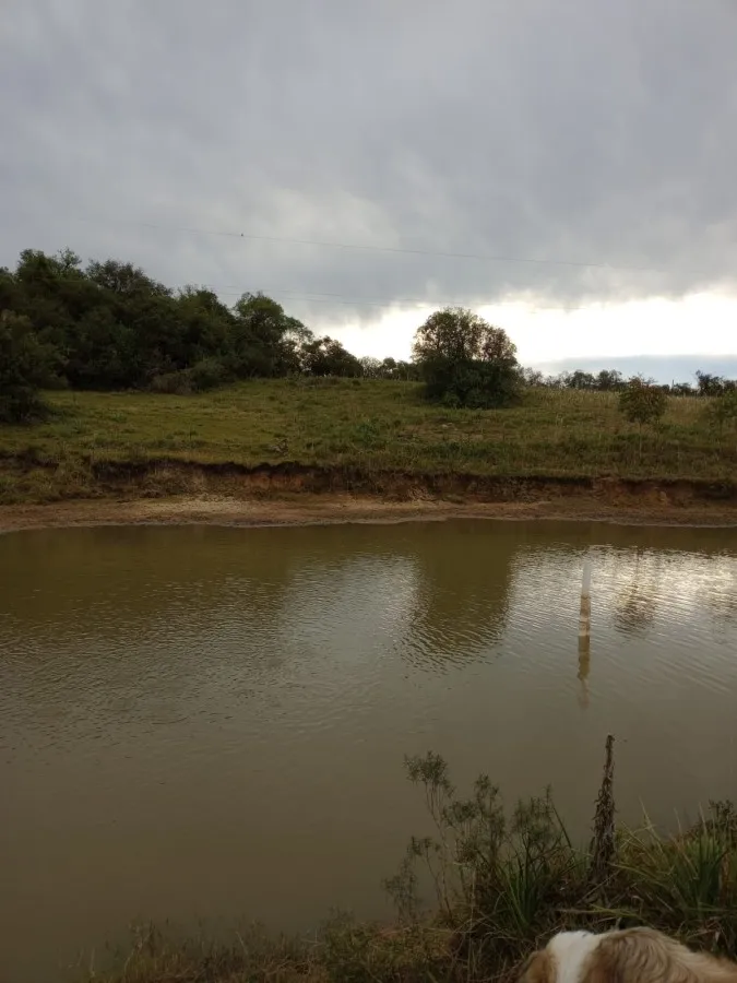 Imagem Sítio para Venda em Canguçu, zona rural, 3 dormitórios, 1 banheiro, 3 vagas