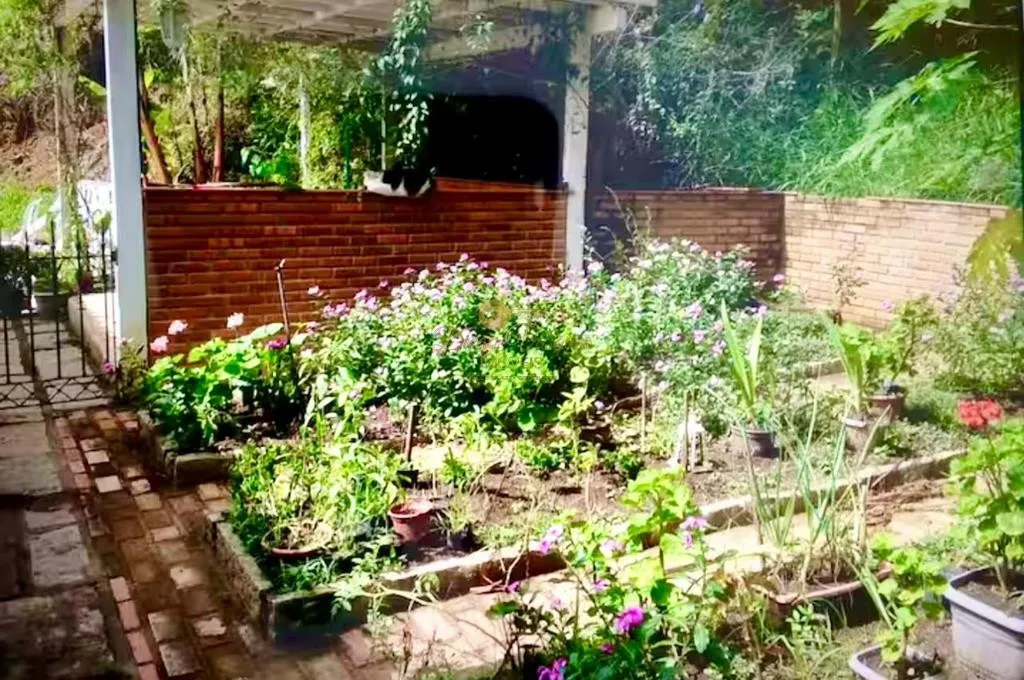 Imagem Sítio para Venda em Petrópolis / RJ no bairro Itaipava