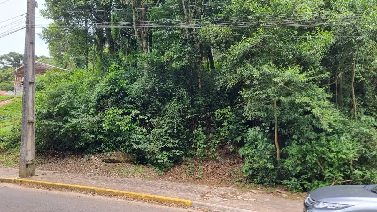 Imagem Terreno à venda em Gramado, Moura, 1027.65m2