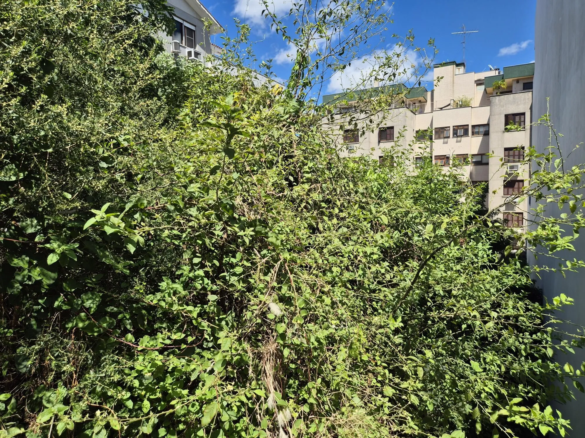 Imagem Terreno com 360m²
