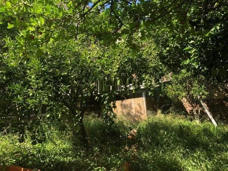 Imagem Terreno amplo com 8,80m²x63,50m² de área total, excelente localização no Bairro Petrópolis
