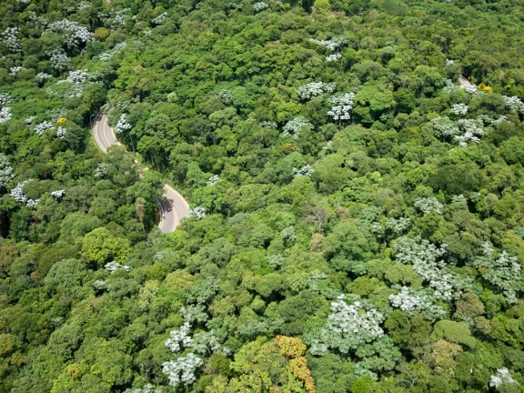 Imagem TERRENO RESIDENCIAL em Santana de Parnaíba - SP, Alphaville