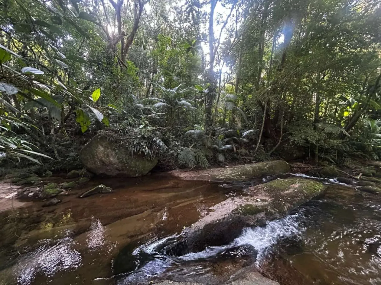 Imagem Casa para Venda em Petrópolis / RJ no bairro Fazenda Inglesa