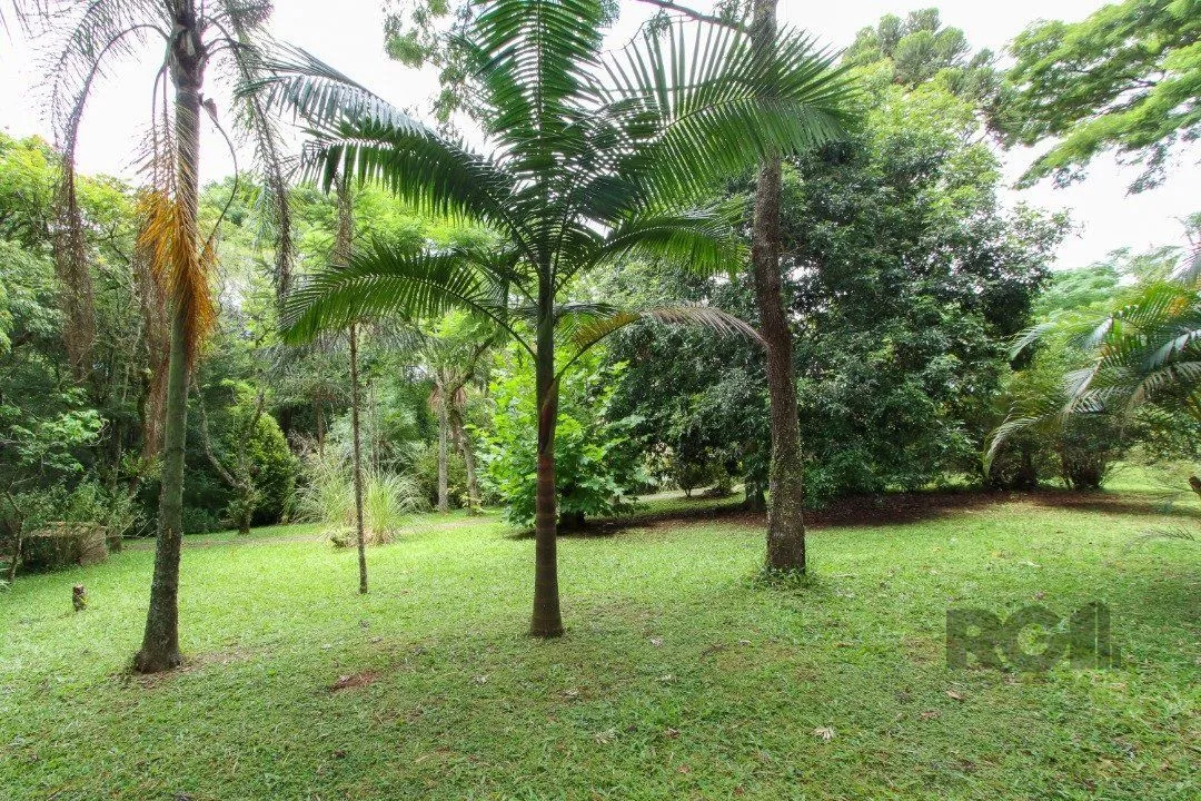 Imagem Casa com 3 quartos, suite em terreno com 7.320m² - Belem Velho