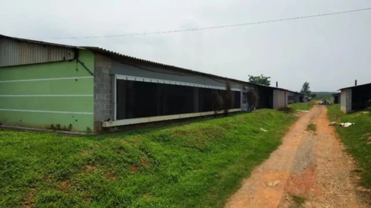 Imagem Sítio à venda em Cesário Lange-SP, com 314.600,00 m² de área no bairro ideal para investidores!