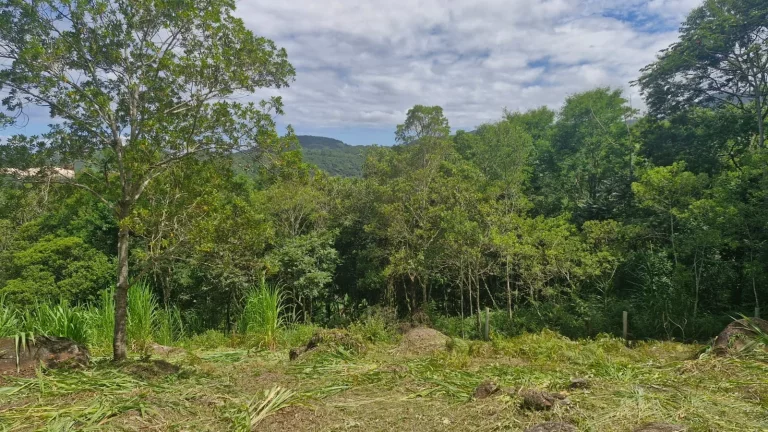 Imagem Terreno à Venda no Bairro Macacu - Garopaba/SC
