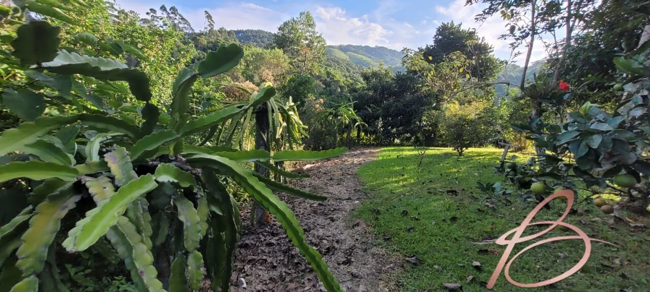 Imagem Lindo Sítio em Ilhota - SC