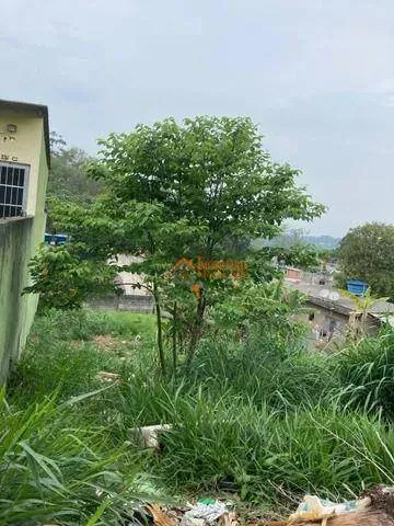 Foto do imóvel Terreno à venda, 518 m² por R$ 255.000,00 - Parque Residencial Bambi - Guarulhos/SP