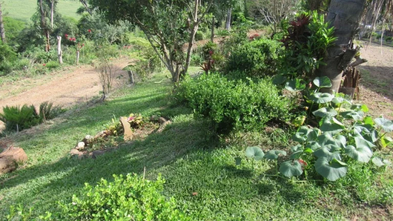 Imagem Casa para Venda em Peritiba, Rural, 3 dormitórios, 2 banheiros