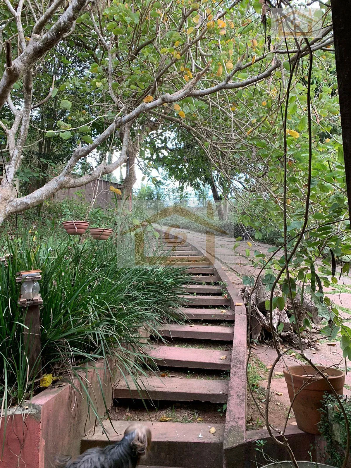 Imagem Vida no Campo, 4 quartos sendo 2 suítes, 6 vagas