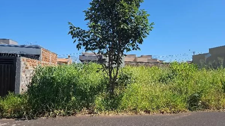 Foto do imóvel Oportunidade Única em BADY BASSITT - SP | Tipo: Terreno | Negociação: Leilão | Situação: Imóvel em RUA PROJETADA 20