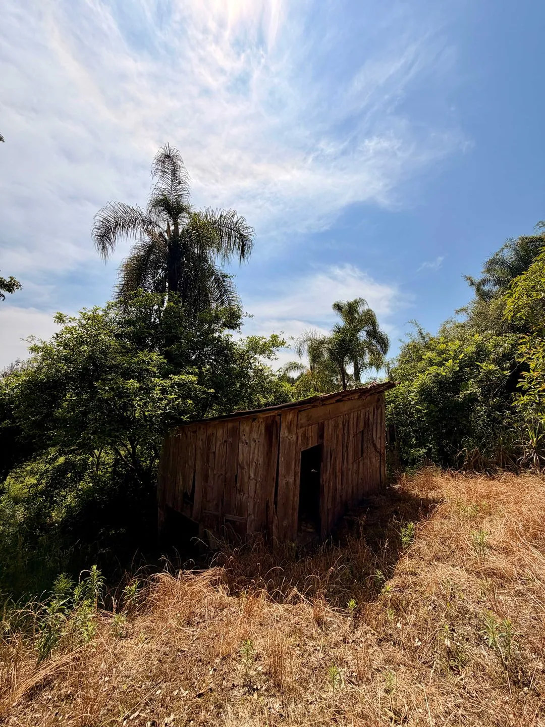 Imagem Chácara à venda em Caxias do Sul, Centro, 20000m2