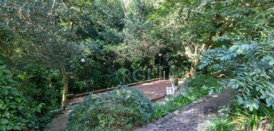 Imagem Apartamento em Nonoai
