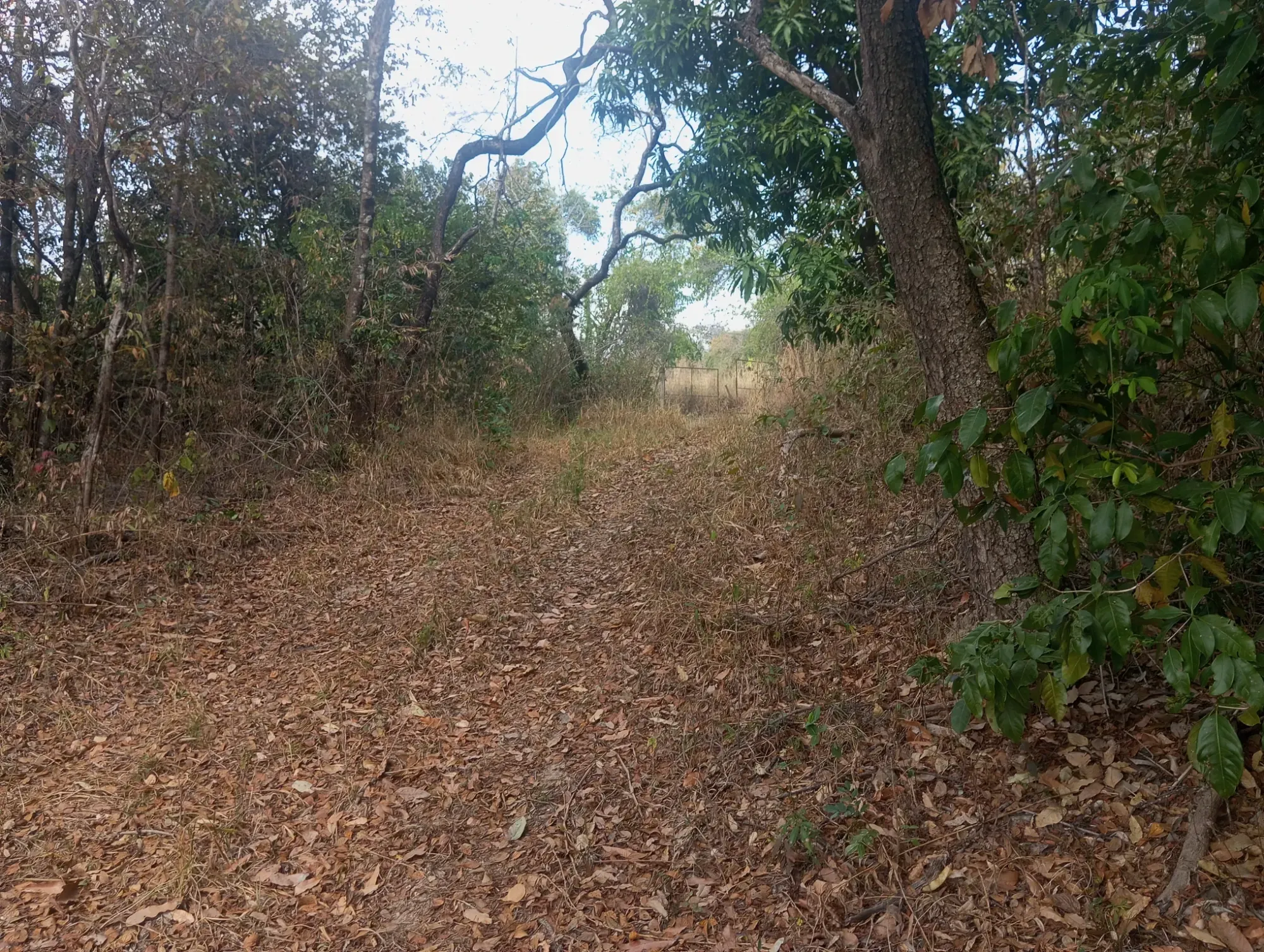 Imagem Chácara com 1 Quarto à Venda, 5.000 m² em Ravena - Sabará