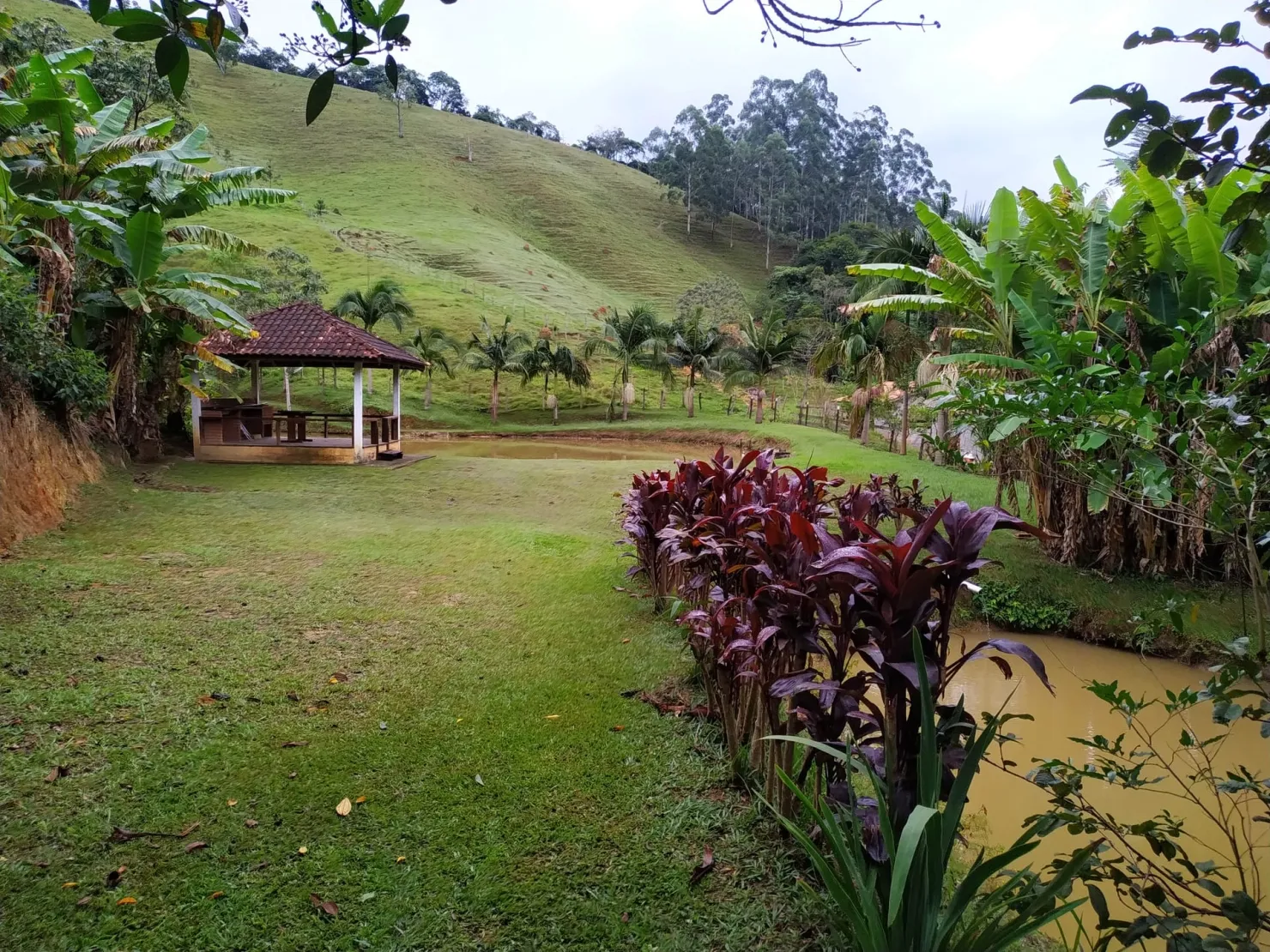 Imagem Chácara à venda 3 Quartos, 31573.76M², Centro, Monteiro Lobato - SP