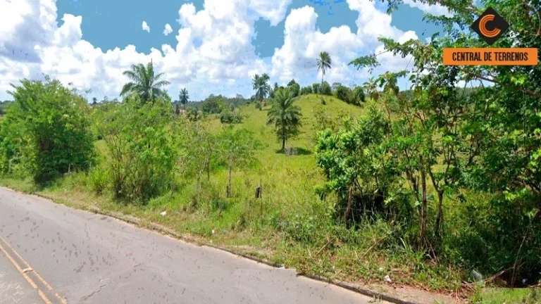 Imagem TERRENO EM GOES CALMON