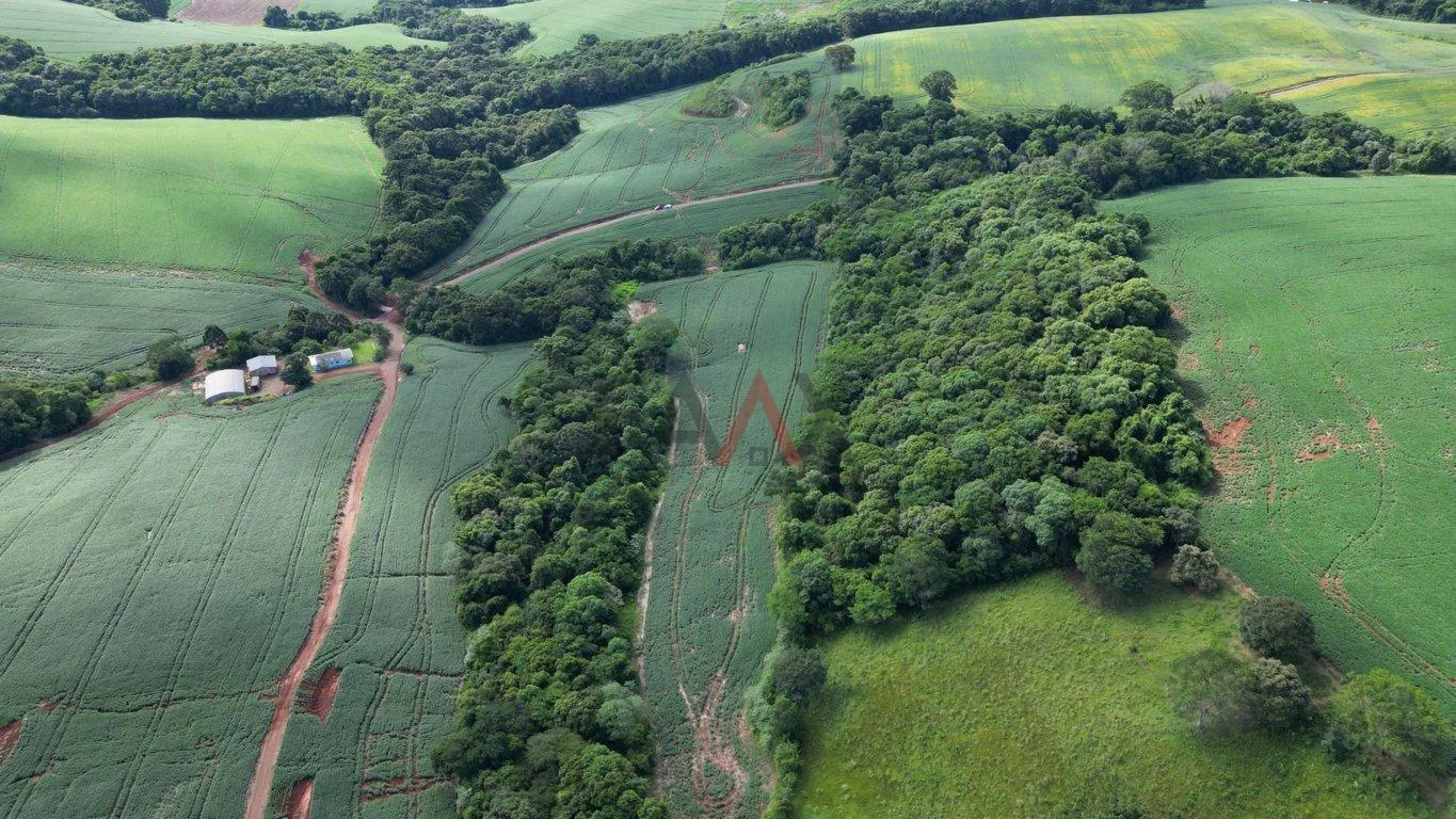 Imagem Àrea de plantio a venda em PITANGA - PR, 12ha sendo 10ha de plantio.