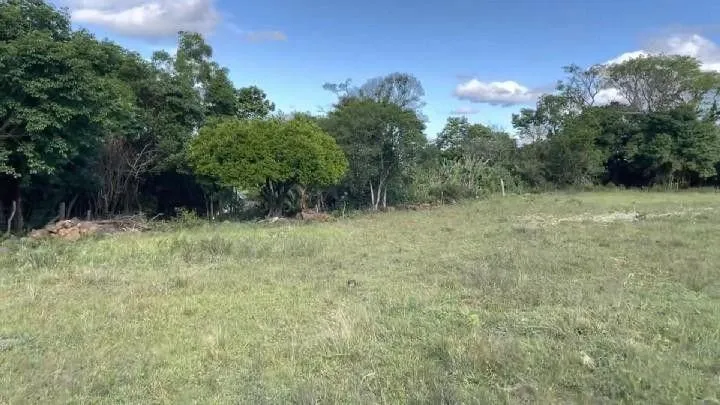 Imagem Chácara para Venda em Santo Antônio da Patrulha / RS no bairro Roça Grande