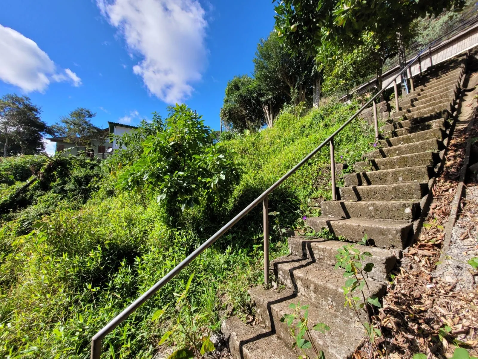 Imagem Lote à venda em Gramado, Piratini, 426m2