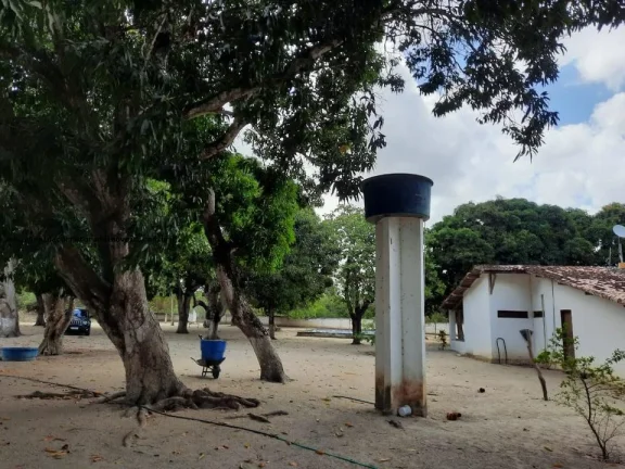 Imagem Granja para Venda em Macaíba, Centro