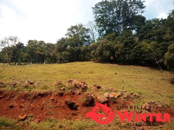 Imagem Chácara de 12,5 hectares em Bom Princípio.