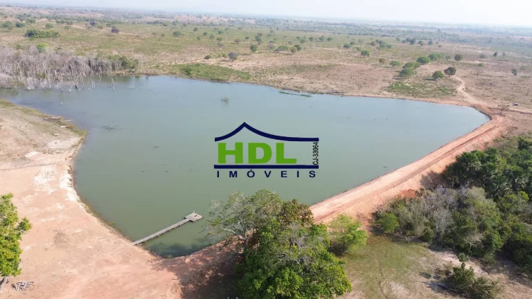 Imagem Fazenda de OPORTUNIDADE Dupla Aptidão em Peixe do Tocantins