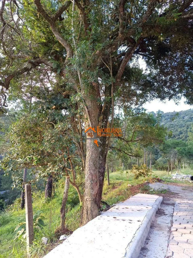 Imagem Terreno à venda, 1000 m² por R$ 490.000 - Água Azul - Guarulhos/SP