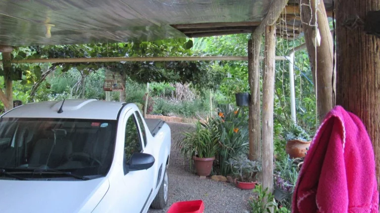 Imagem Sítio / Chácara para Venda em Concórdia, Rural, 3 dormitórios, 1 banheiro