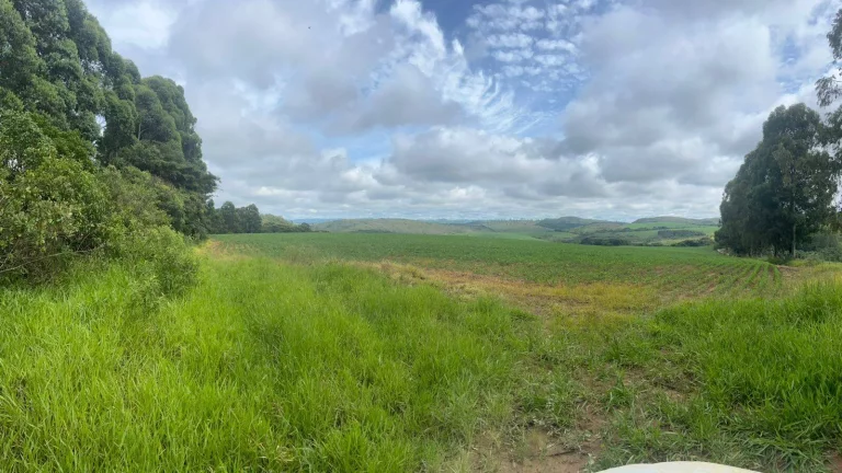 Imagem Incrível Fazenda Oliveira MG 280 hectares!