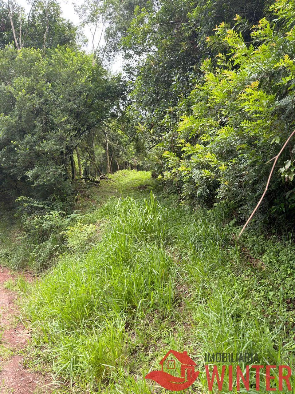 Imagem Area com 10.571 m2 no São Roque, Feliz