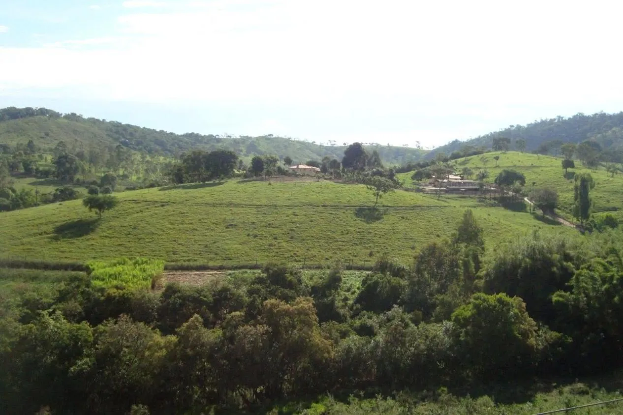 Imagem Vendo uma excelente fazendinha em Crucilândia/MG Área total de 57 hectares
