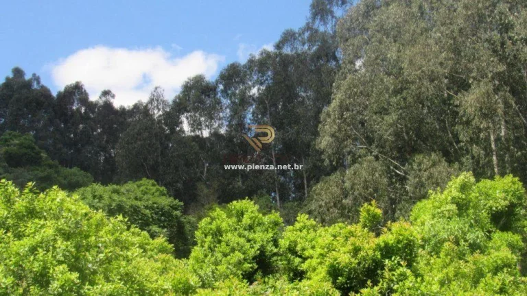 Imagem Área Agrícola para Venda em Concórdia, Interior